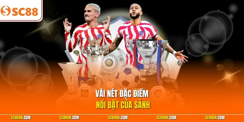 Vài nét đặc điểm nổi bật của sảnh 